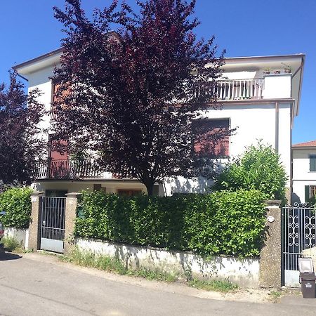 A Quattro Passi Dalle Mura Lucca Exterior foto